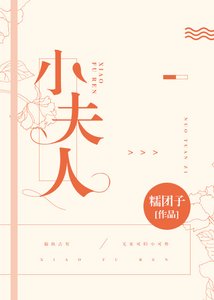 小夫人