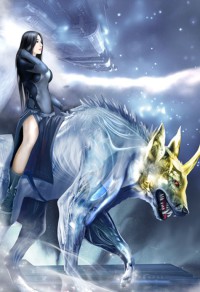 圣光骑士（圣光）
