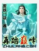 再踏巔峯